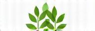 Vegan India partnership logo